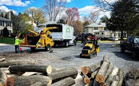 Trusted Lompoc, CA Tree Removal and Landscaping Services Experts